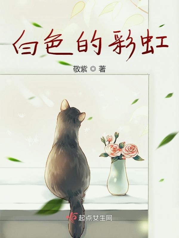 白色的彩虹小说封面