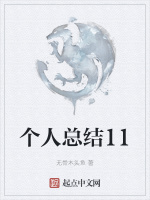 个人总结11