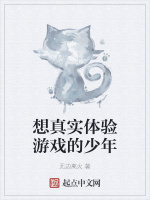想真实体验游戏的少年
