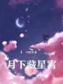 月下藏星霄