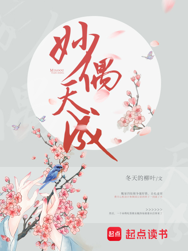 妙偶天成小说封面