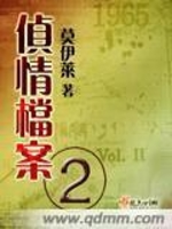 侦情档案二小说封面