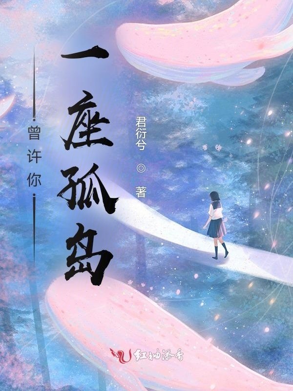 曾许你一座孤岛小说封面