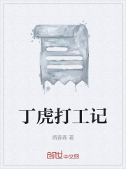 《丁虎打工记》封面