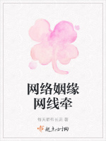 网络姻缘网线牵