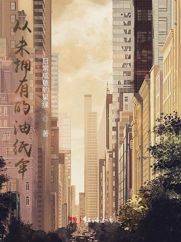 从未拥有的油纸伞小说封面
