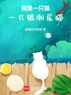 《我是猫，一只银渐层猫》封面