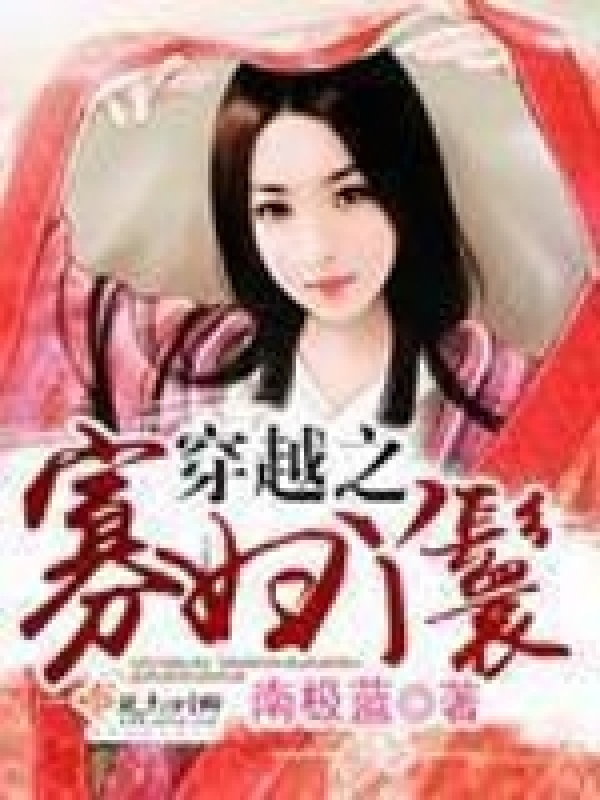 穿越之寡妇丫鬟小说封面