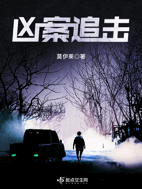 凶案追击小说封面