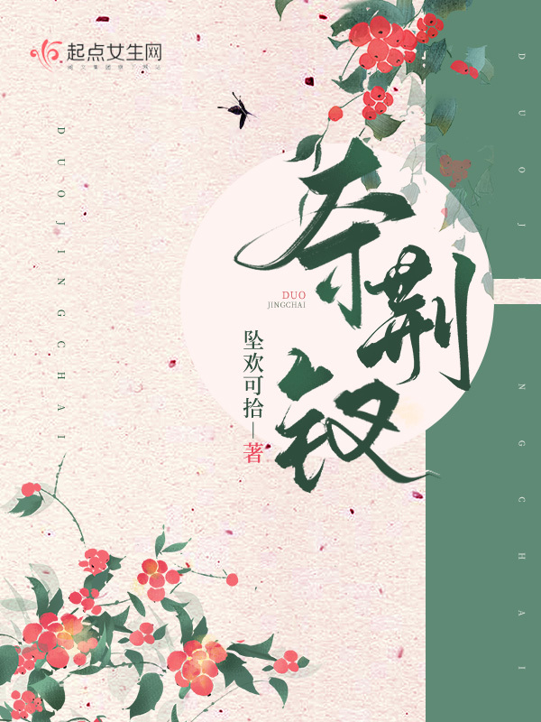 夺荆钗小说封面
