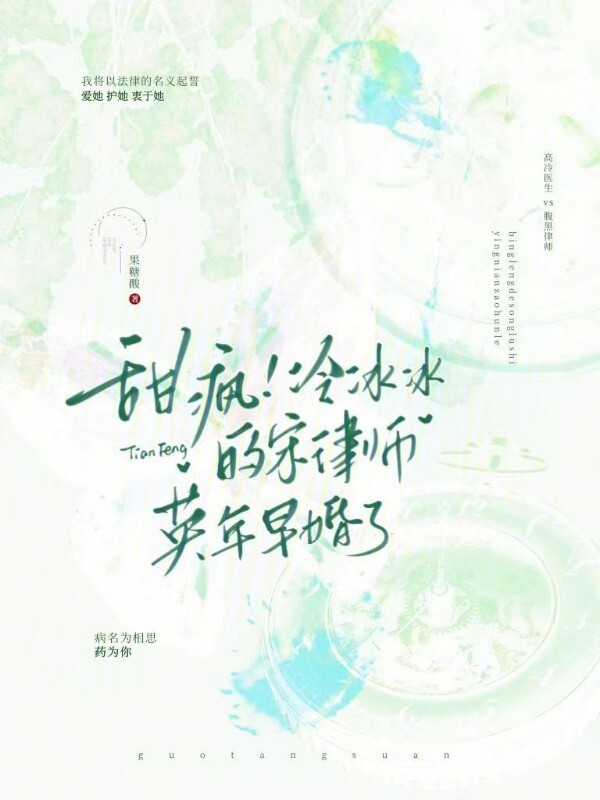 甜疯！冷冰冰的宋律师英年早婚了小说封面