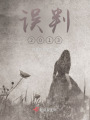 误判2013