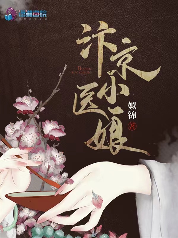 汴京小医娘小说封面