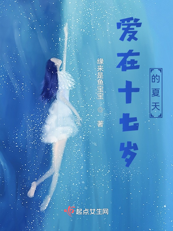 爱在十七岁的夏天小说封面