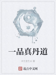 一品真丹道
