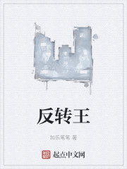 反转王
