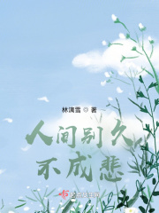 《人间别久不成悲》封面