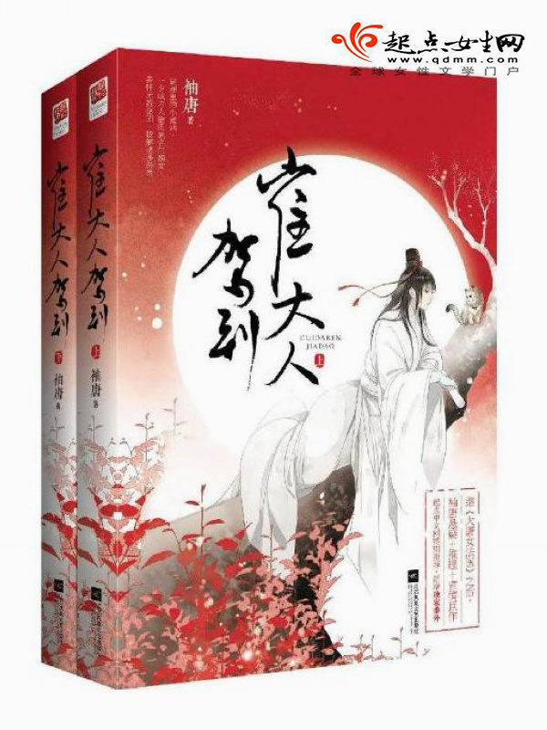 崔大人驾到小说封面