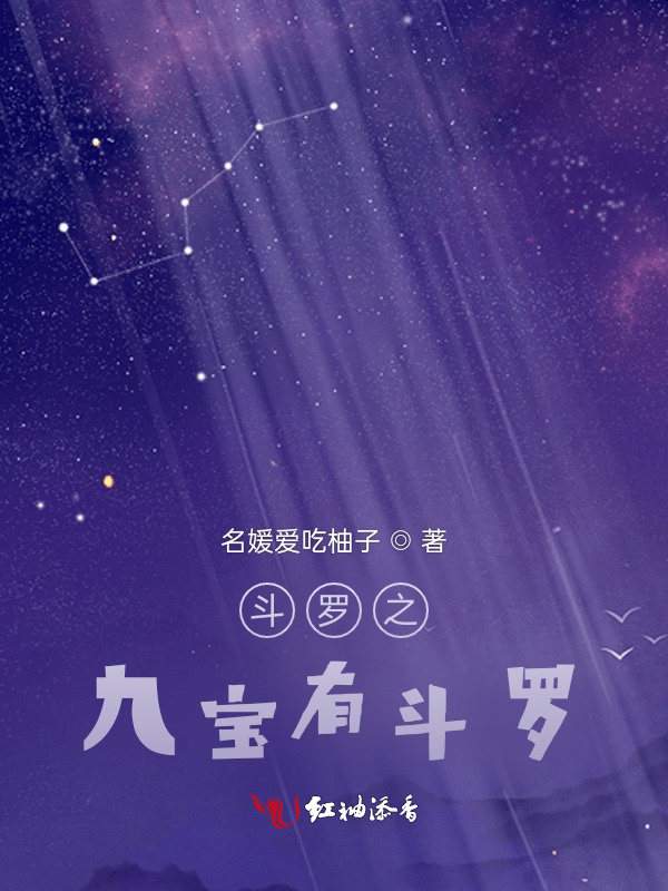 斗罗之九宝有斗罗小说封面