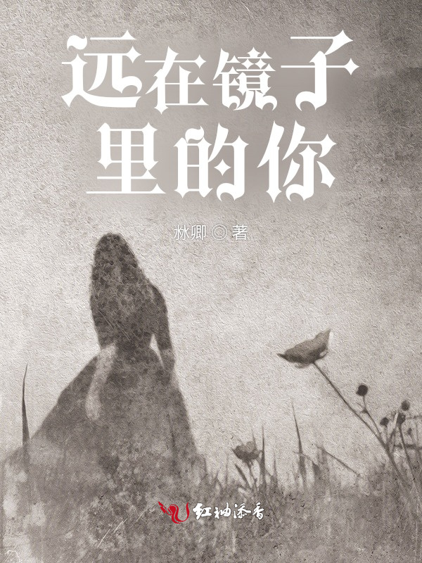远在镜子里的你小说封面