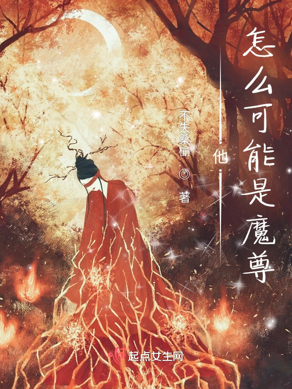 他怎么可能是魔尊小说封面