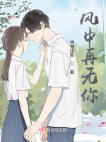风中再无你