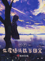 HP：在霍格沃兹当团宠