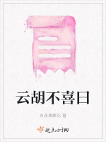 云胡不喜曰