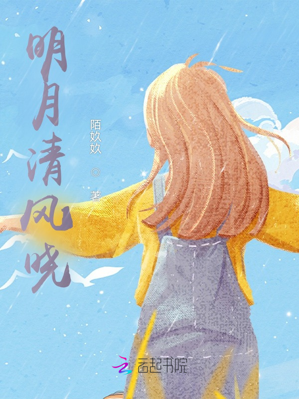 明月清风晓小说封面