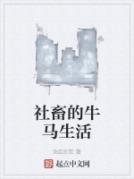 社畜的牛马生活