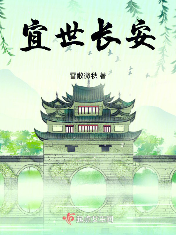宜世长安小说封面