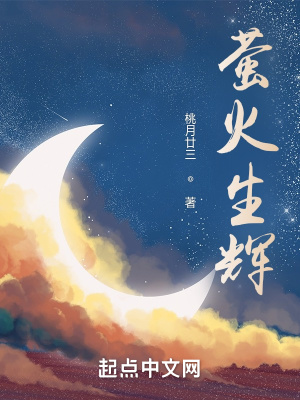 《萤火生辉》封面
