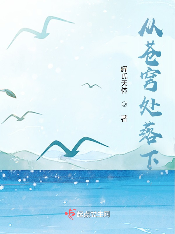 从苍穹处落下小说封面