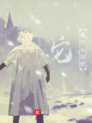 《它是什么回忆》封面