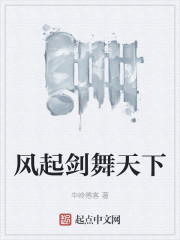 风起剑舞天下