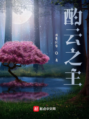 《酌云之主》封面