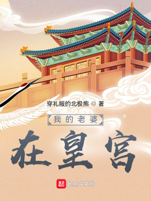 《我的老婆在皇宫》封面