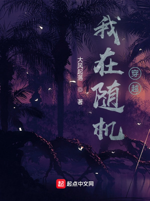 《我在随机穿越》封面