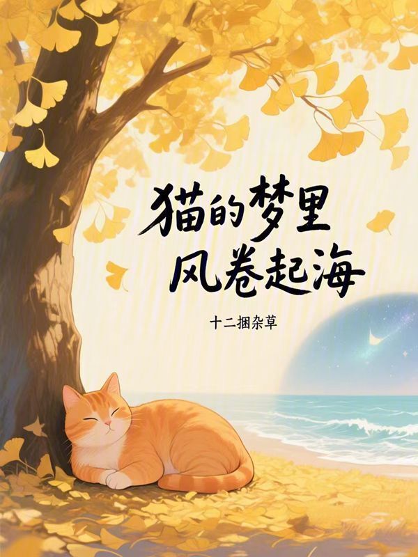 猫的梦里风卷起海小说封面