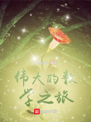 《伟大的数学之旅》封面