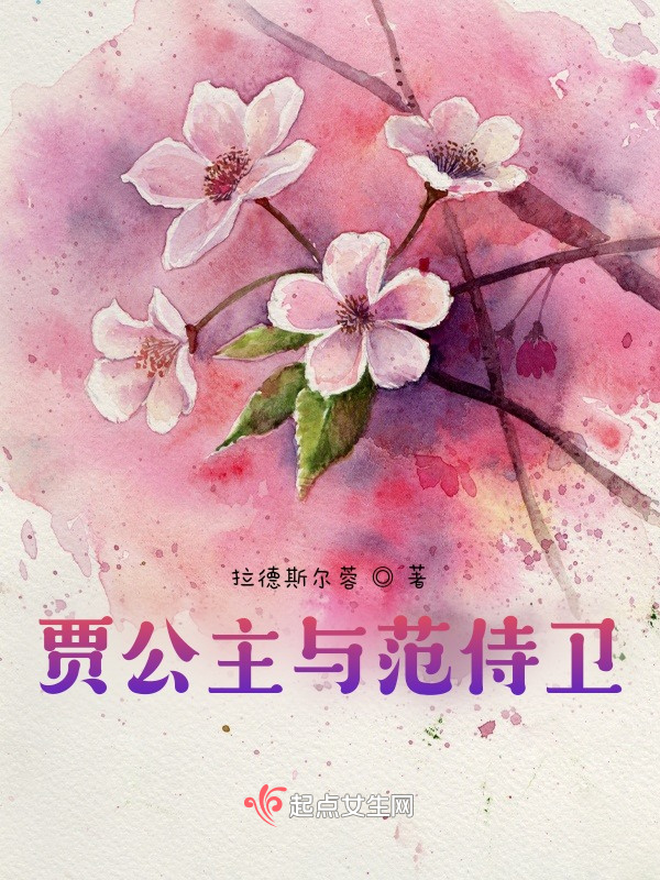 贾公主与范侍卫小说封面