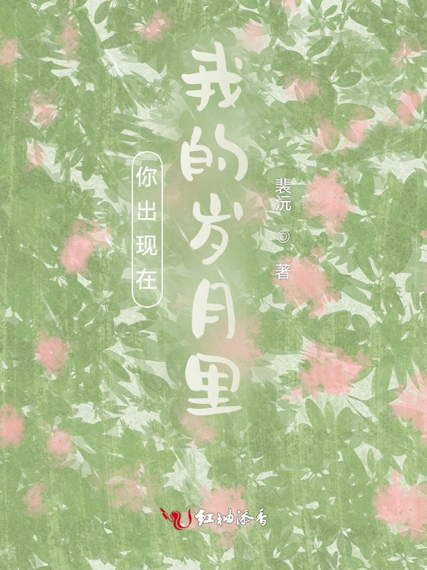 你出现在我的岁月里小说封面