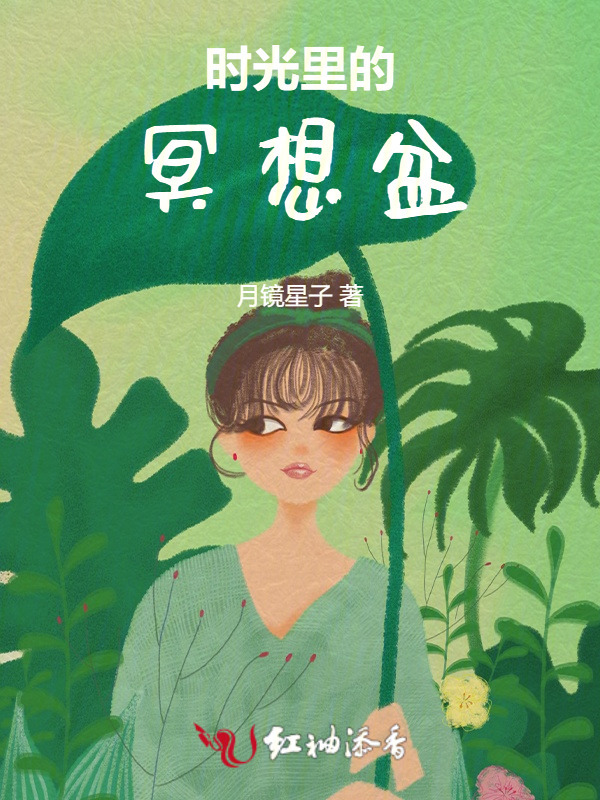 时光里的冥想盆小说封面