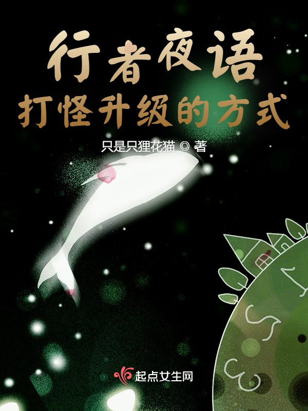 行者夜语：打怪升级的方式小说封面