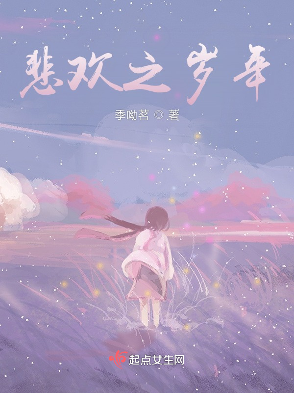 悲欢之岁年小说封面