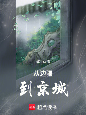 《从边疆到京城》封面