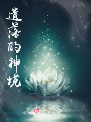 《遗落神境》封面