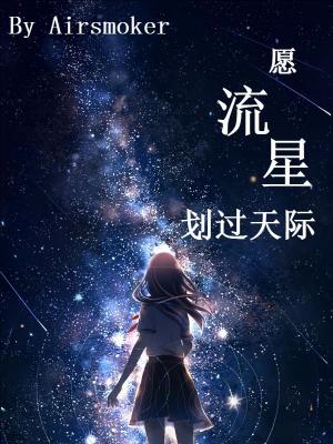 《愿流星划过天际》封面