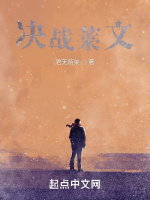 决战莱文