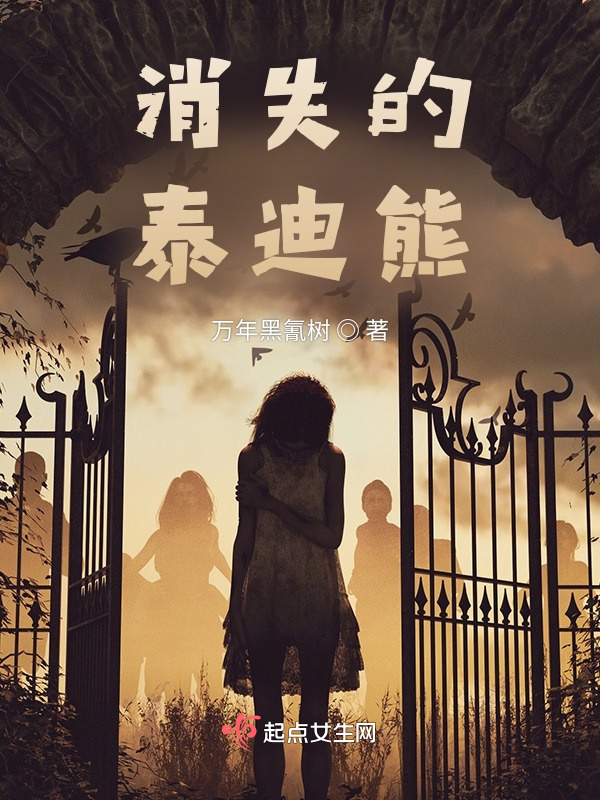 消失的泰迪熊小说封面